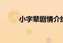 小字辈剧情介绍（小字辈演员表）