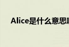 Alice是什么意思啊（alice是什么意思）