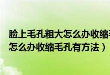 脸上毛孔粗大怎么办收缩毛孔有方法改善吗（脸上毛孔粗大怎么办收缩毛孔有方法）