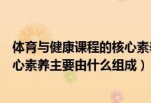 体育与健康课程的核心素养内涵和构成（体育与健康学科核心素养主要由什么组成）