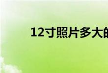 12寸照片多大的（12寸照片多大）