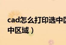 cad怎么打印选中区域图纸（cad怎么打印选中区域）