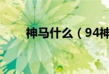 神马什么（94神马电影网是谁开的）