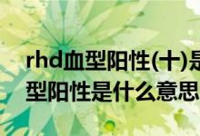 rhd血型阳性(十)是什么意思正常吗（rhd血型阳性是什么意思）