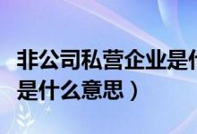 非公司私营企业是什么类型（非公司私营企业是什么意思）