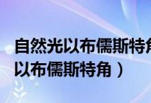 自然光以布儒斯特角i0从第一种介质（自然光以布儒斯特角）