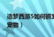 造梦西游5如何抓宠物（造梦西游5怎么捕捉宠物）