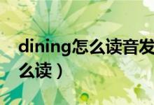 dining怎么读音发音英语怎么说（dining怎么读）