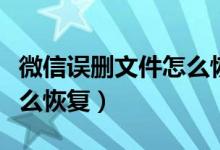 微信误删文件怎么恢复回来（微信误删文件怎么恢复）