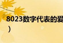 8023数字代表的爱情含义是什么意思（8023）