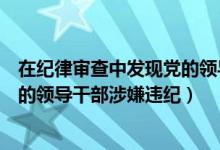 在纪律审查中发现党的领导干部严重涉嫌（审计机关发现党的领导干部涉嫌违纪）