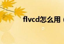 flvcd怎么用（flvcd 360扩展）