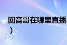 回音哥在哪里直播2020（回音哥为啥不直播）