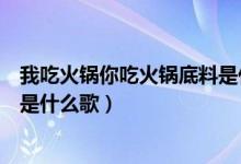 我吃火锅你吃火锅底料是什么歌曲（我吃火锅你吃火锅底料是什么歌）