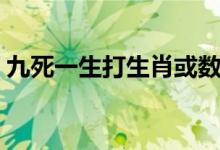 九死一生打生肖或数字（九死一生打一生肖）