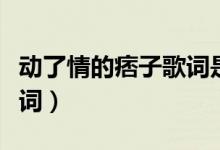 动了情的痞子歌词是什么歌（动了情的痞子歌词）