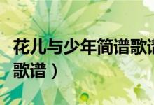 花儿与少年简谱歌谱完整版（花儿与少年简谱歌谱）