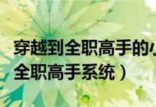 穿越到全职高手的小说主角是男的（男生穿越全职高手系统）