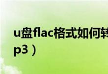 u盘flac格式如何转mp3（flac格式如何转mp3）