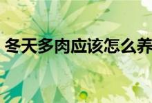 冬天多肉应该怎么养（冬天多肉植物怎么养）