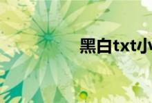 黑白txt小说（黑白txt）