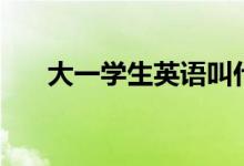 大一学生英语叫什么（大一学生英语）