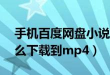 手机百度网盘小说怎么下载到mp4（小说怎么下载到mp4）