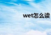 wet怎么读（both怎么读）