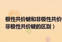 极性共价键和非极性共价键的区别秒懂百科（极性共价键和非极性共价键的区别）