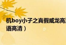 机boy小子之真假威龙高清下载（机boy小子之真假威龙国语高清）