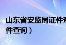 山东省安监局证件查询系统（山东省安监局证件查询）