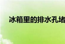 冰箱里的排水孔堵塞了怎么办（冰箱里）