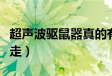 超声波驱鼠器真的有用吗（家里有老鼠怎么赶走）