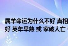 属羊命运为什么不好 真相又是什么呢（属羊的人为什么命不好 英年早熟 或 家破人亡 丧偶等  我身边）