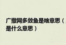 广撒网多敛鱼是啥意思（广撒网 多敛鱼 择优而从之 这句话是什么意思）