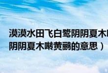 漠漠水田飞白鹭阴阴夏木啭黄鹂什么意思（漠漠水田飞白鹭阴阴夏木啭黄鹂的意思）