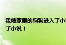 我被家里的狗狗进入了小说全文阅读（我被家里的狗狗进入了小说）