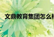 文鼎教育集团怎么样（文鼎教育在线官网）