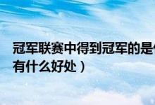 冠军联赛中得到冠军的是什么称号（各个联赛得到总冠军后有什么好处）