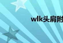 wlk头肩附魔（wlk声望）