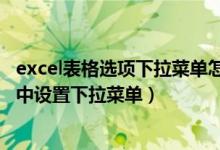 excel表格选项下拉菜单怎么设置多选项（怎样在excel表格中设置下拉菜单）