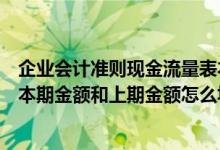 企业会计准则现金流量表本期金额和上期金额（现金流量表本期金额和上期金额怎么填）