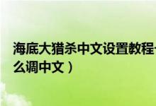 海底大猎杀中文设置教程一览如何设置中文（海底大猎杀怎么调中文）