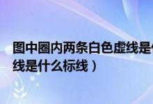 图中圈内两条白色虚线是什么标线啊（图中圈内两条白色虚线是什么标线）