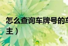 怎么查询车牌号的车主（知道车牌号怎样查车主）