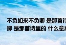 不负如来不负卿 是那首诗里的 什么意思呢（不负如来不负卿 是那首诗里的 什么意思）