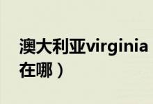 澳大利亚virginia（澳大利亚vic truganina在哪）