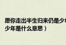 愿你走出半生归来仍是少年啥意思（愿你走出半生 归来仍是少年是什么意思）