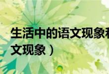 生活中的语文现象和知识200字（生活中的语文现象）