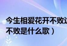 今生相爱花开不败这是什么歌（今生相爱花开不败是什么歌）